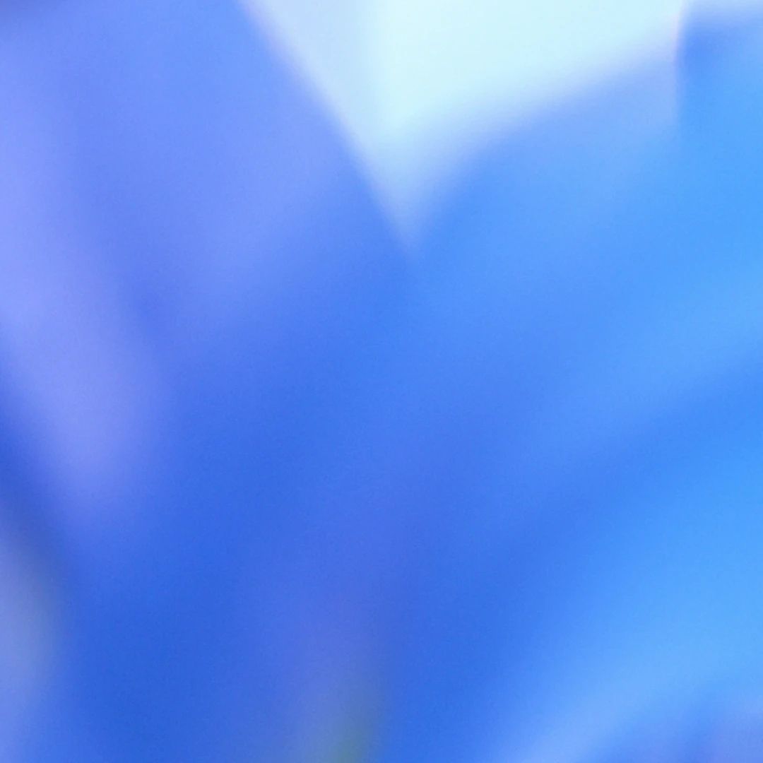 Imageye     imgi 248 Art Card  5 