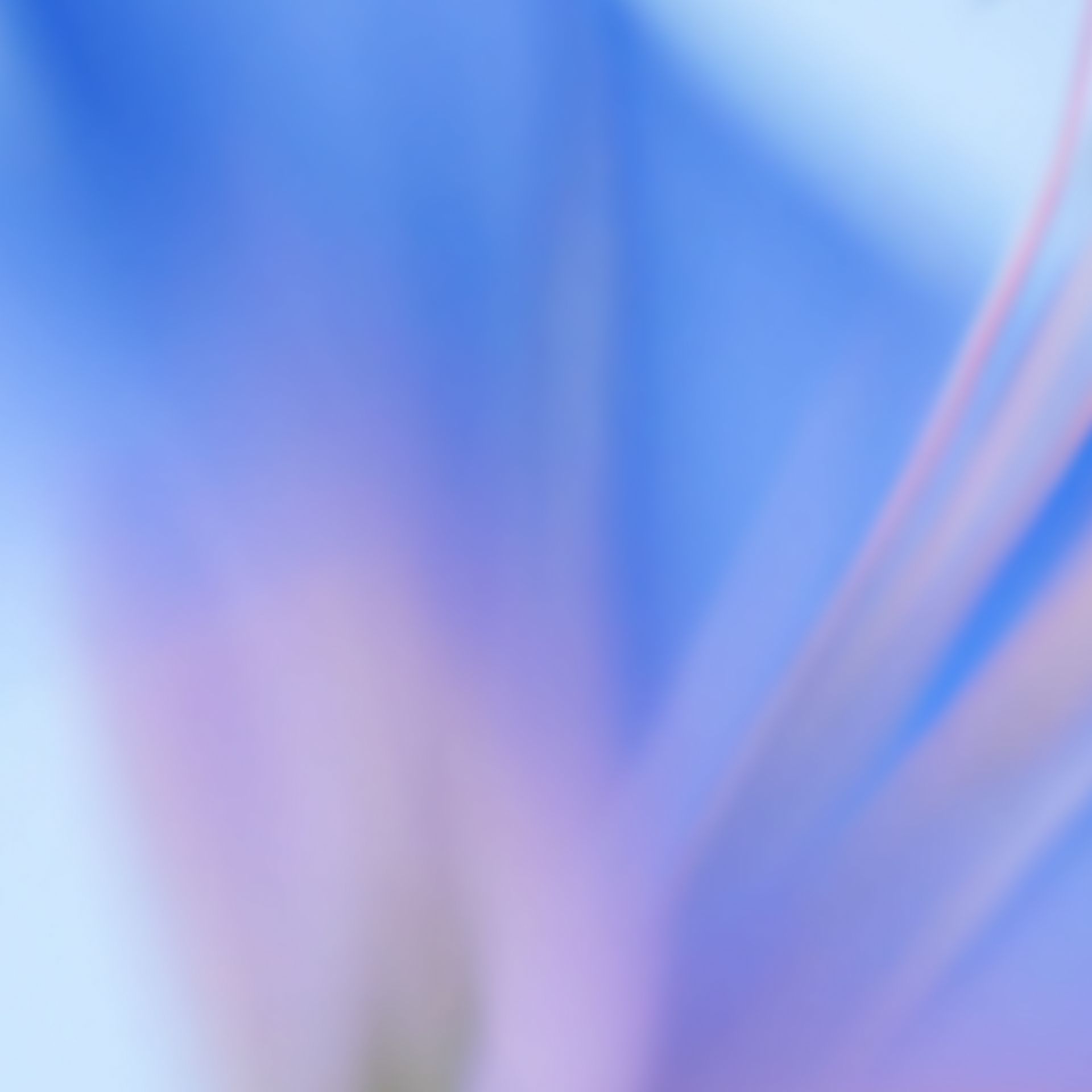 Imageye     imgi 319 c47f1f6d 440a 4f0b a669 50ca79ce1064
