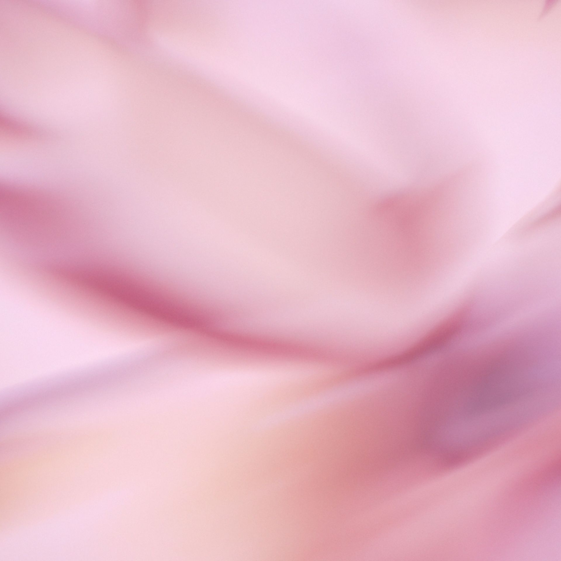 Imageye     imgi 321 c47f1f6d 440a 4f0b a669 50ca79ce1064